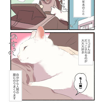 essay, essay manga, animal / 【書籍化🎉】白い猫と暮らしている漫画⑩