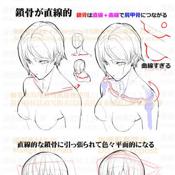 how to draw, collarbone / 個人メモ：肩と胴体の角度 / June 17th, 2023