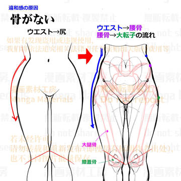 how to draw, lower body, waist / 個人メモ：腰の骨格