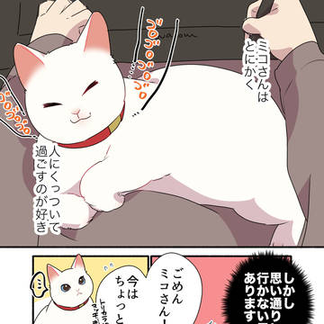 original, essay, essay manga / なんだかんだ猫の思い通りになってしまう話