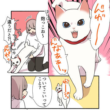 original, essay, cat / 【愛されたがりの白猫ミコさん】書籍発売記念漫画📕