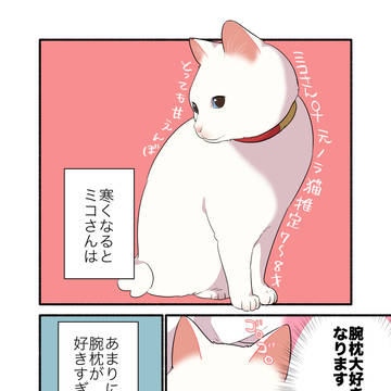 original, essay, essay manga / 🐈甘えんぼ猫に腕枕ヤクザされてる話😱