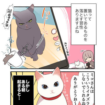 original, tankōbon, cat / 🐈甘えんぼ猫が反抗期を迎えたかもしれない話👊💥😱