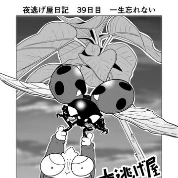 essay, report manga / 夜逃げ屋日記　39日目 / May 11th, 2024