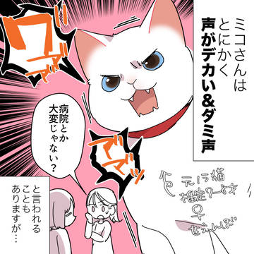 essay, cat, essay manga / クソデカダミ声の甘えんぼ猫を病院に連れていった時の話
