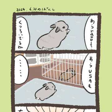 original, rabbit, essay / 【実録】縦列 rabbit…他