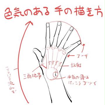 how to draw, tutorial lecture 1000+ bookmarks, hand / 色気のある手の描き方