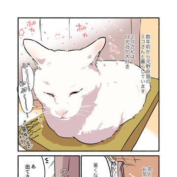 original, creation, essay manga / 【書籍化🎉】白い猫と暮らしている漫画⑤
