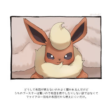 Life with Pokemon, Flareon, hiding your head but keeping your bottom exposed / ブースターと暮らしている人