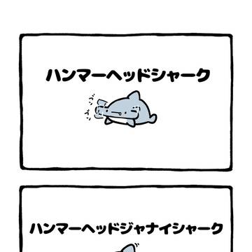 shark, doodle, original character / no.2037 『　ハンマーヘッドジャナイシャーク 』