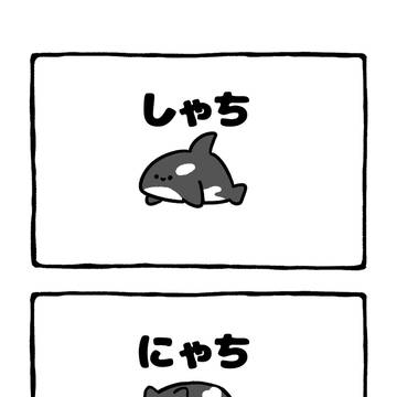 cat, orca, doodle / no.2041 『 にゃち 』