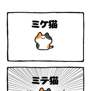 cat, tortoise-shell cat, cat / no.2072 『 ミテ猫 』