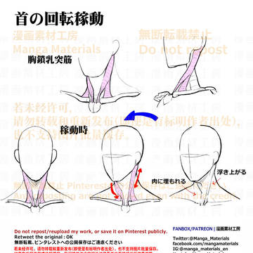 how to draw, human body, body / 個人メモ：首の回転可動