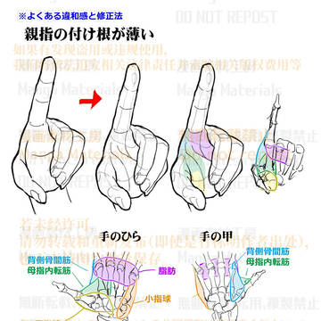 how to draw, human body, body / 個人メモ：親指の付け根の厚み