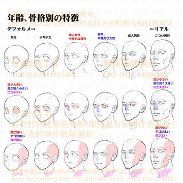 how to draw, character, face / 個人メモ：年齢骨格別の顔の特徴