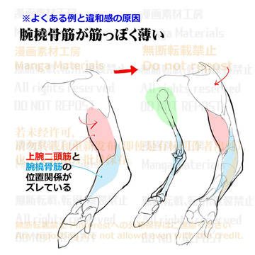 how to draw, human body, body / 個人メモ：腕可動時の筋肉と骨の動き
