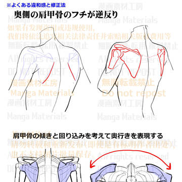 how to draw, human body, body / 個人メモ：背中・肩甲骨のよくある違和感