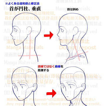 how to draw, human body, body / 個人メモ：首の付き方