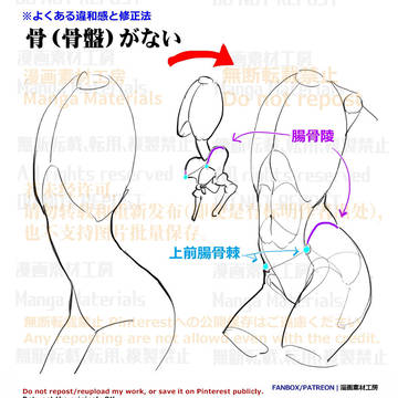 how to draw, human body, body / 個人メモ：腰回りの立体