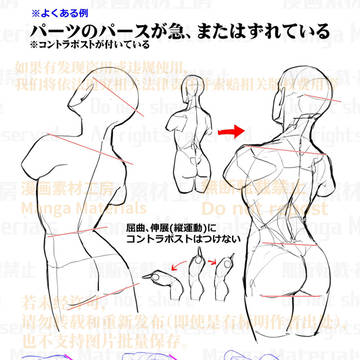 how to draw, human body, body / 個人メモ：コントラポストが付くのは側屈と回旋時