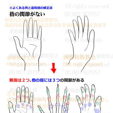 how to draw, human body, body / 個人メモ：手の基本構造
