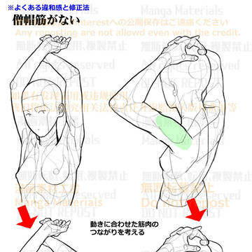 how to draw, human body, body / 個人メモ：腕を上げたポーズの注意点