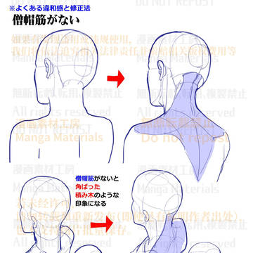 how to draw, human body, body / 個人メモ：後頭部～首～背中への立体