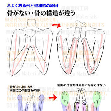 how to draw, human body, body / 個人メモ：曲げた肘の骨の構造