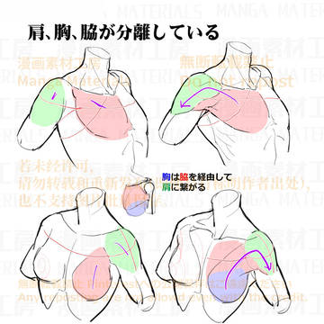 how to draw, human body, body / 個人メモ：肩､胸､腋の繋がり
