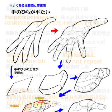 how to draw, human body, body / 個人メモ：手のひらの土台