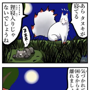 nine-tailed fox, fluffy / タヌキ寝入り。 / May 11th, 2024