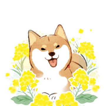 shiba inu, dog, animal / 柴犬さんと春の花添え