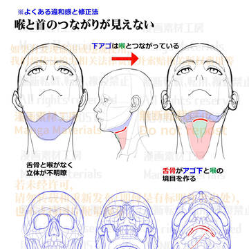 how to draw, human body, body / 個人メモ：下顎は喉と繋がっている